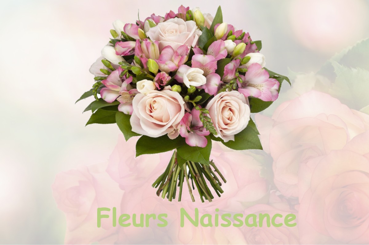 fleurs naissance CHAMPAGNAC-LE-VIEUX