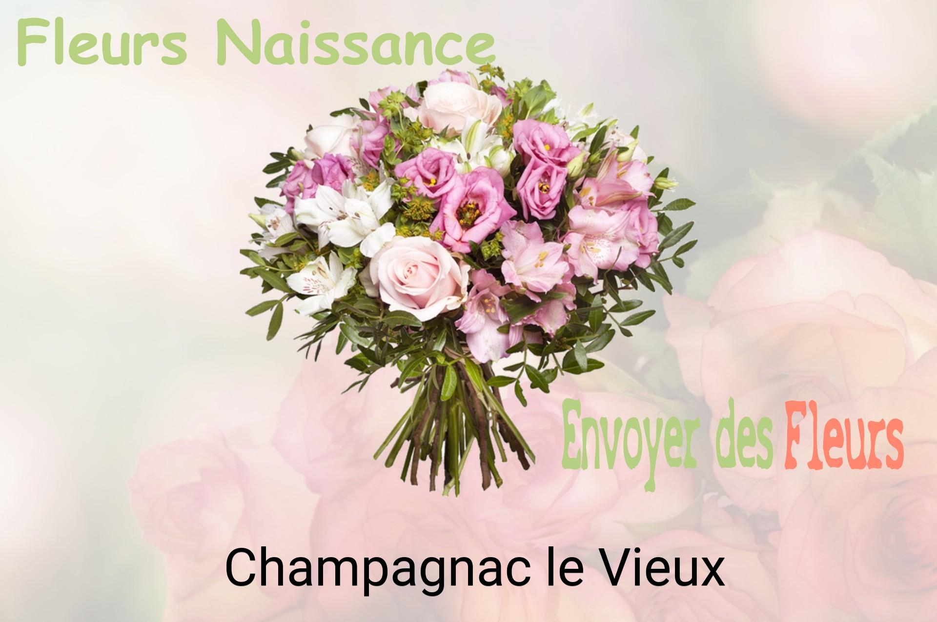 Bouquet de fleurs de naissance livré à Champagnac-le-Vieux